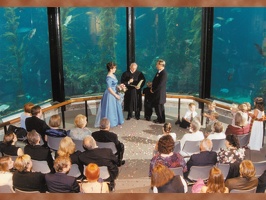 Monterey Bay Aquarium Wedding