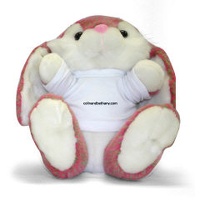 our_bunny