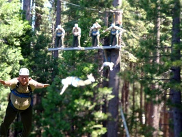 Zip Line Collage