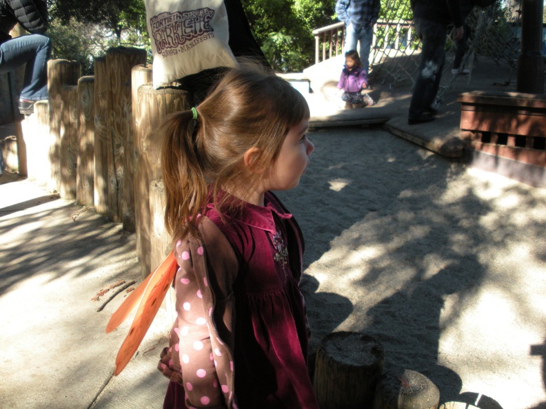 DSCN9520.jpg