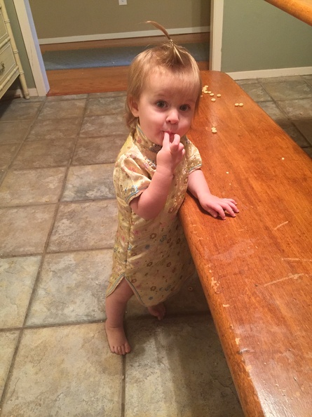 2015-06-14 07.23.11 HDR - 2015-06-14 07.23.11 HDR.jpg 2015-06-14 07.23.11 HDR.jpg