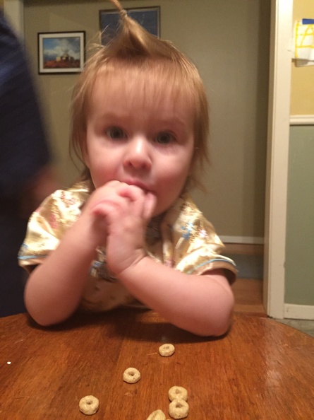 2015-06-14 07.22.53 - 2015-06-14 07.22.53.jpg 2015-06-14 07.22.53.jpg