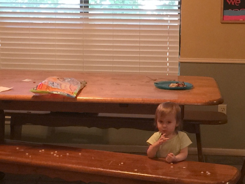 2015-06-12 08.07.29 - 2015-06-12 08.07.29.jpg 2015-06-12 08.07.29.jpg