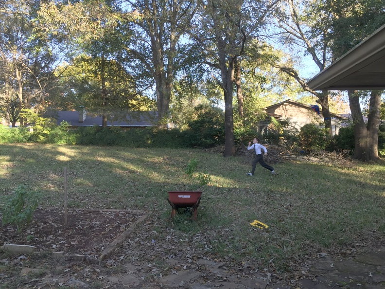 2015-11-22 15.45.45 HDR - 2015-11-22 15.45.45 HDR.jpg 2015-11-22 15.45.45 HDR.jpg