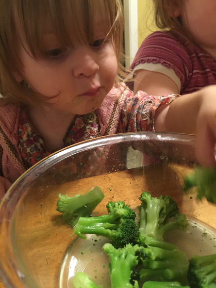2015-12-08 19.04.34 - 2015-12-08 19.04.34.jpg 2015-12-08 19.04.34.jpg