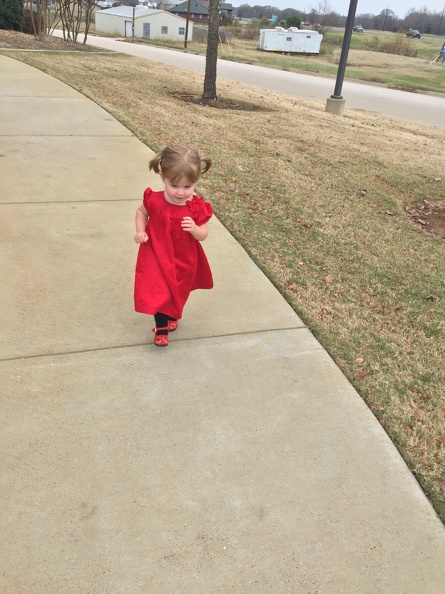 2015-12-20 12.51.16 HDR - 2015-12-20 12.51.16 HDR.jpg 2015-12-20 12.51.16 HDR.jpg