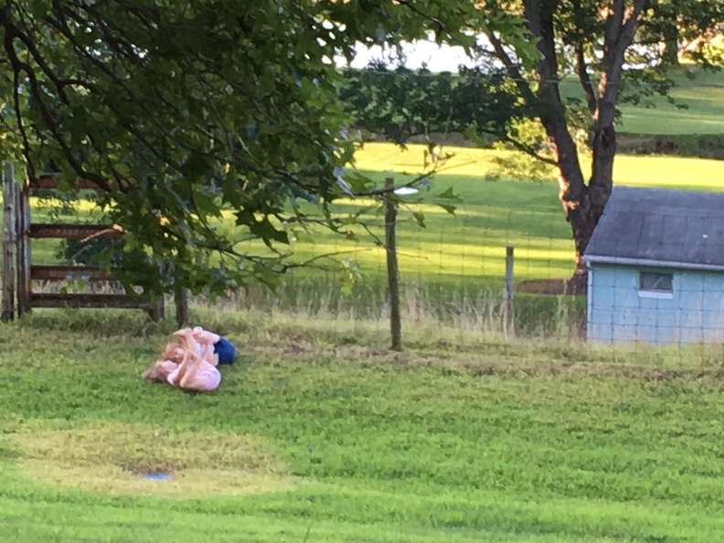 2016-08-06 19.12.20 - 2016-08-06 19.12.20.jpg 2016-08-06 19.12.20.jpg