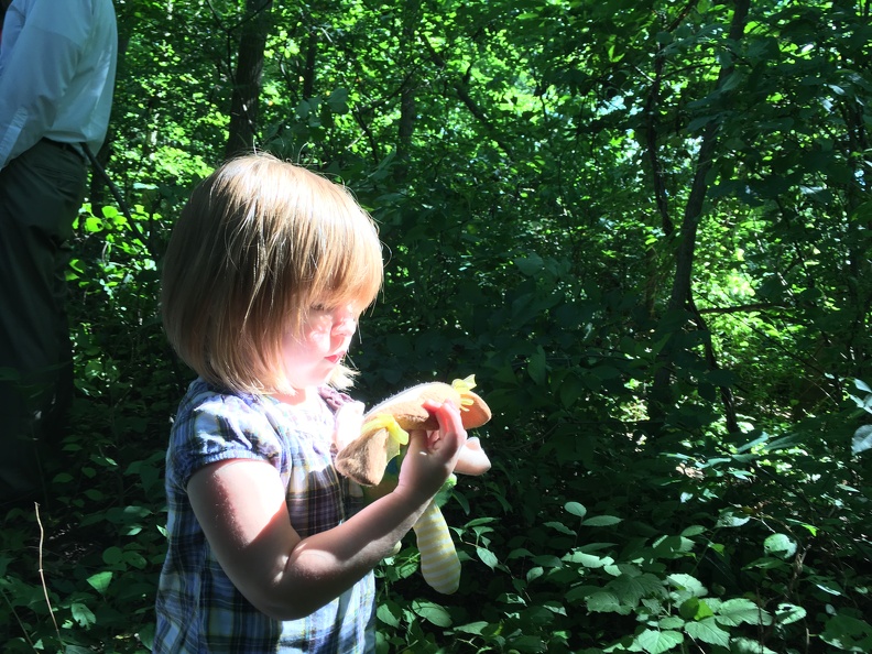 2016-08-07 15.41.56 HDR - 2016-08-07 15.41.56 HDR.jpg 2016-08-07 15.41.56 HDR.jpg