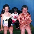 monkey
