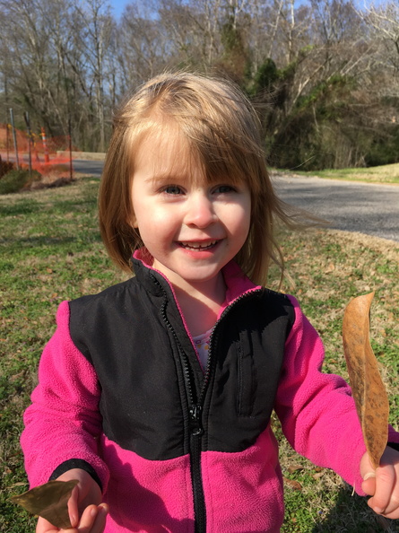 2017-02-03 11.02.16 - 2017-02-03 11.02.16.jpg 2017-02-03 11.02.16.jpg