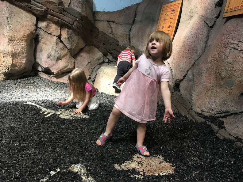 2017-03-30 14.48.16 - 2017-03-30 14.48.16.jpg 2017-03-30 14.48.16.jpg