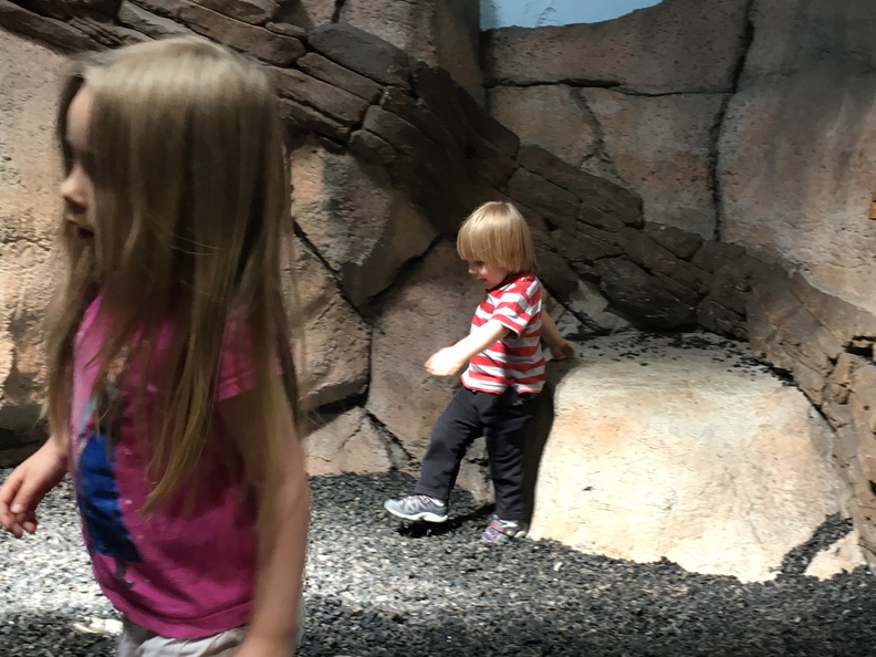 2017-03-30 14.48.29 - 2017-03-30 14.48.29.jpg 2017-03-30 14.48.29.jpg