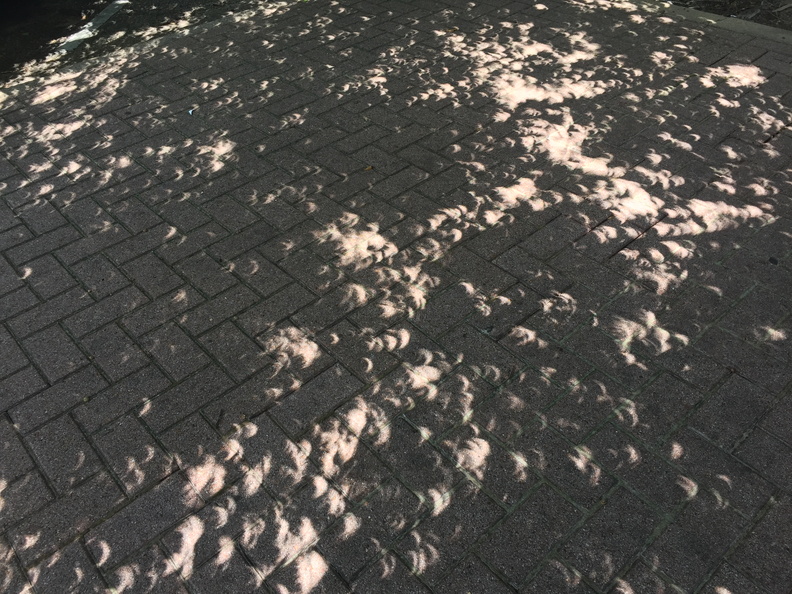 2017-08-21 13.17.08 HDR - 2017-08-21 13.17.08 HDR.jpg 2017-08-21 13.17.08 HDR.jpg