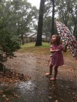 2017-10-03 15.12.35 HDR